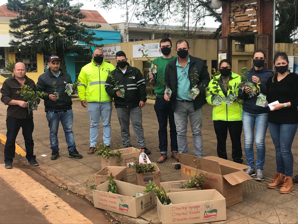 Governo Municipal distribui mudas frutíferas no dia da árvore